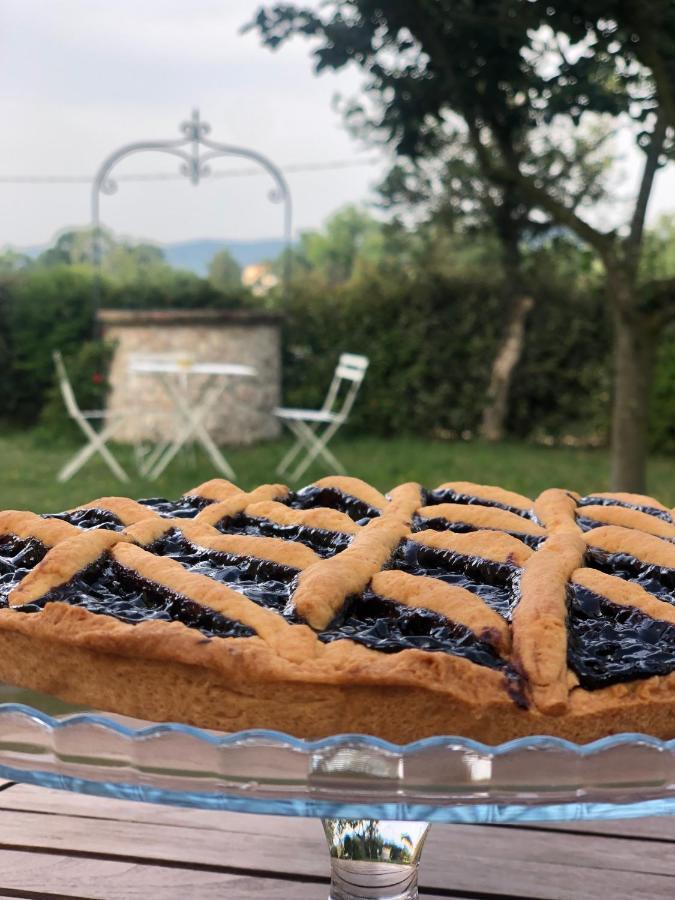 Casale Viridi - Nel Fresco Delle Colline Umbre Villa Narni Eksteriør billede